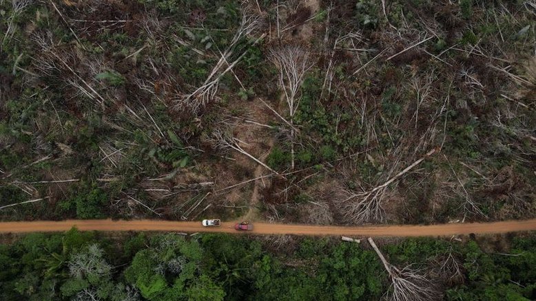 Organizações farão apelo na ONU contra "desmonte ambiental" por Bolsonaro