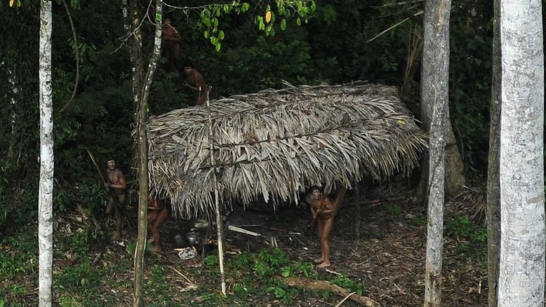 Povos nunca contatados da Amazônia sofrem ameaças no Peru e no Brasil, diz grupo indígena
