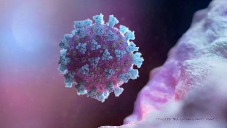 NEXU Science Communication/via REUTERS