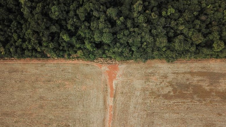 STF forma maioria para determinar retomada do Fundo Amazônia