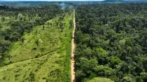 Meio ambiente vai melhorar, mas devagar