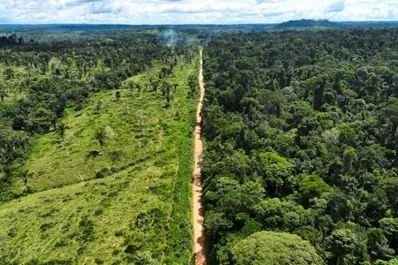 Meio ambiente vai melhorar, mas devagar