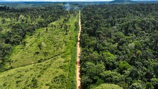 Meio ambiente vai melhorar, mas devagar