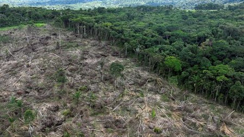 Desmatamento da Amazônia cresce em fevereiro