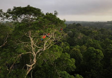 Banco Mundial critica incentivos à Zona Franca de Manaus e defende exigências ambientais em acordo Mercosul-UE
