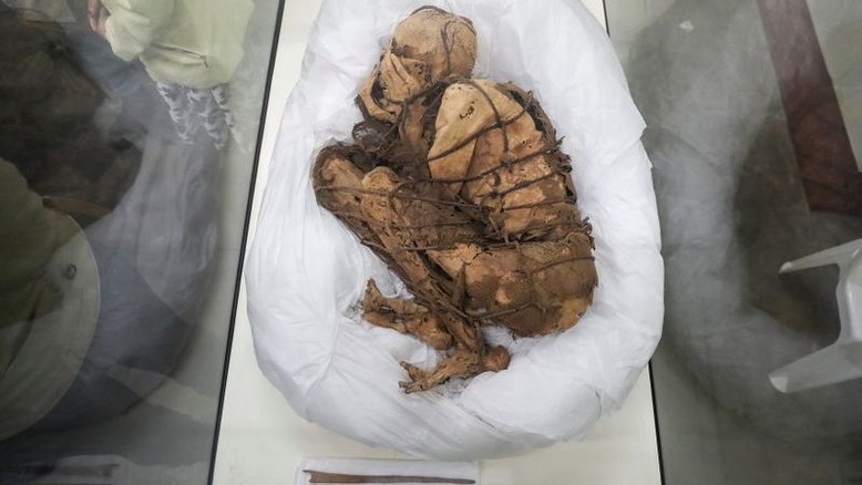 Múmia peruana antiga é exposta em universidade de Lima