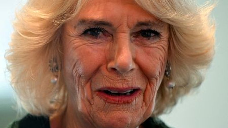 Camilla, esposa do rei britãnico Charles, é diagnosticada com Covid-19
