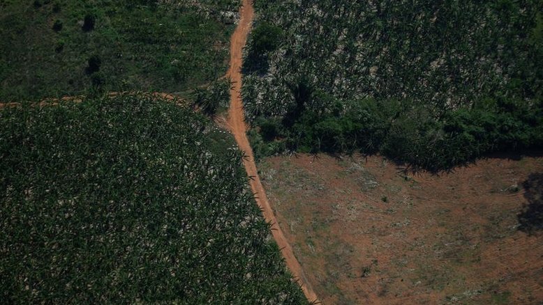 Devastada, a Amazônia vai sufocar o mundo