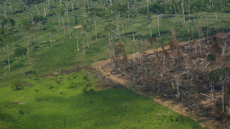 Desmatamento na Amazônia atinge recorde para janeiro