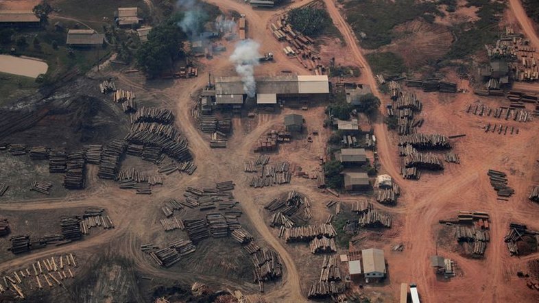 Ibama concede licença prévia para asfaltar rodovia na floresta amazônica