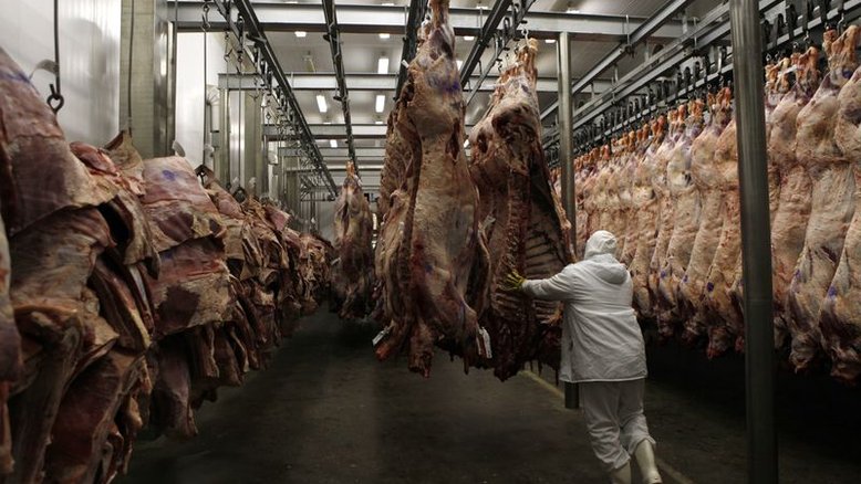 Queda da arroba bovina e salto na exportação elevam margens de frigoríficos no Brasil