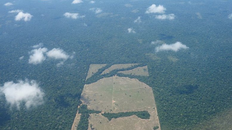 EXCLUSIVO-Bolsonaro pode ampliar multas ambientais para fortalecer proteção da Amazônia