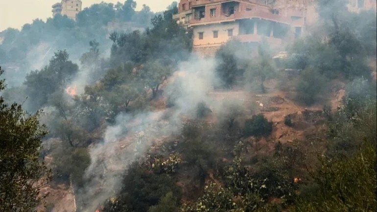 Argélia diz que incêndios florestais foram provocados; número de mortos sobe para 42
