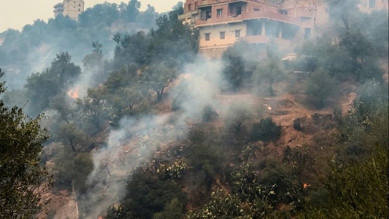 Argélia diz que incêndios florestais foram provocados; número de mortos sobe para 42