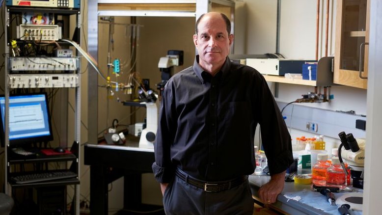 Dois norte-americanos ganham Nobel de Medicina por descobertas sensoriais
