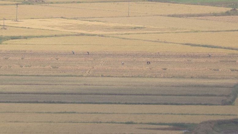 Situação alimentar da Coreia do Norte parece perigosa, dizem especialistas