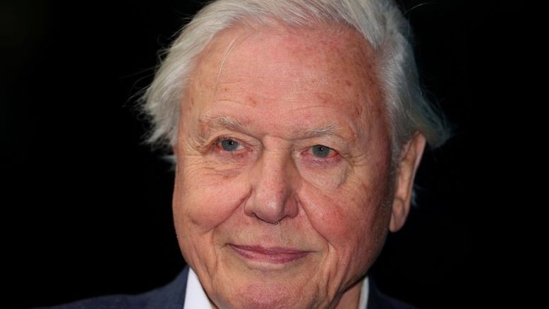 Cada dia sem ação sobre clima é "um dia perdido", diz naturalista David Attenborough