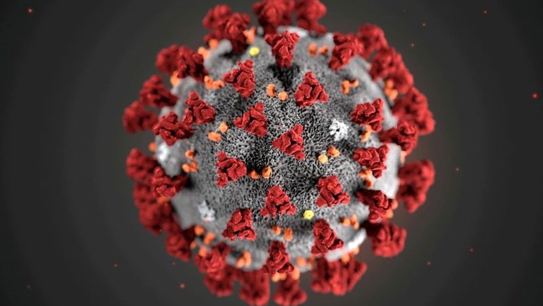 Botsuana, um dos primeiros países a detectar Ômicron, não vê aumento de hospitalizações