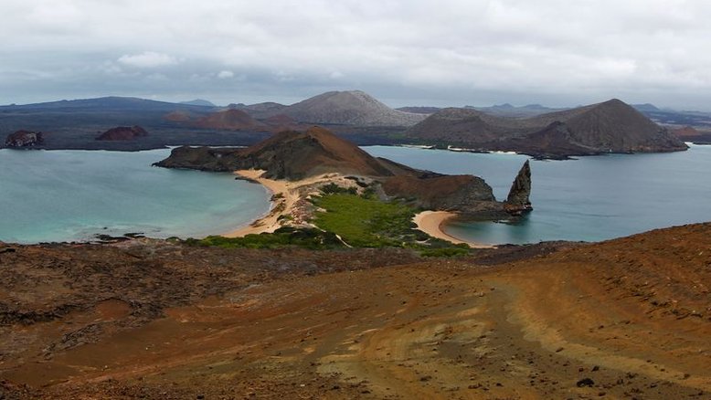 Tartaruga considerada extinta há 100 anos ainda existe em Galápagos, diz Equador