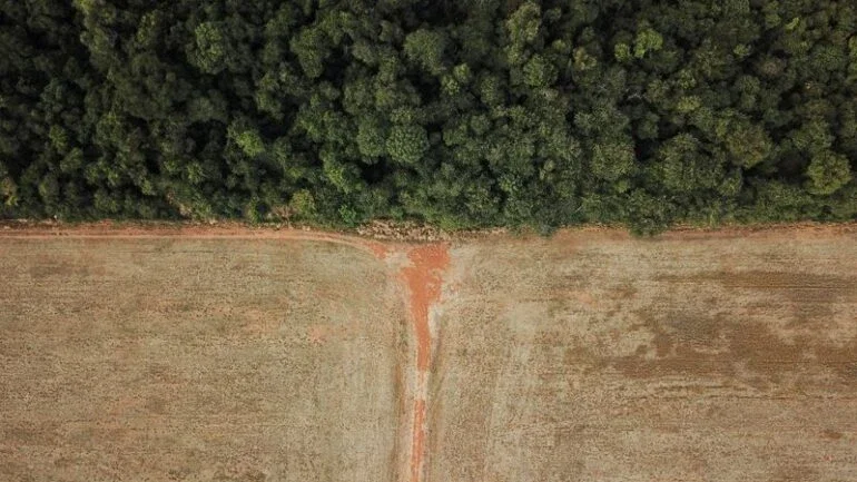Governo Bolsonaro atinge recorde de desmatamento na Amazônia pela terceira vez