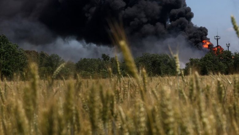 Milhões correm risco de desnutrição com alta do preço do trigo, alertam FAO e OCDE