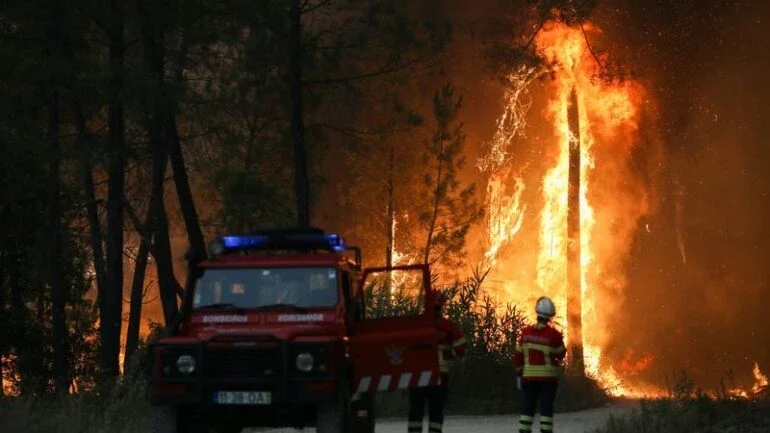 Onda de calor extenuante provoca incêndios florestais na Europa