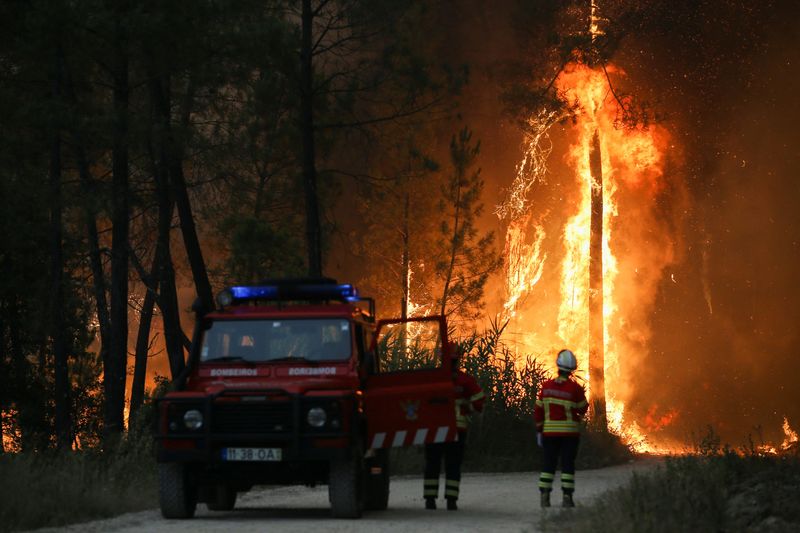 Onda de calor extenuante provoca incêndios florestais na Europa