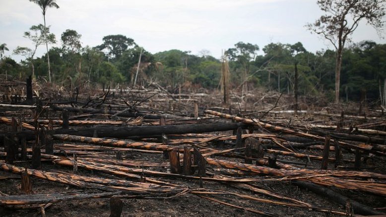 Desmatamento na Colômbia cresce e se afasta ainda mais de meta do governo