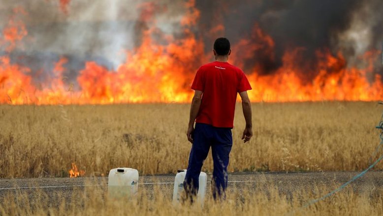 Incêndios florestais em Espanha e Marrocos produzem recorde de emissões de carbono