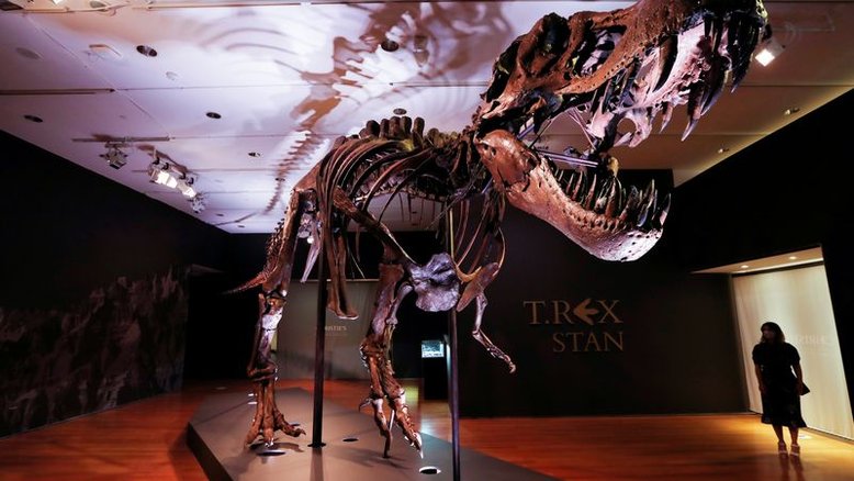 Cientistas defendem T. rex como espécie única de tiranossauro poderoso