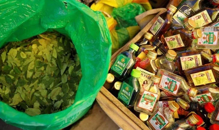 Escritório da ONU diz que cultivo de coca aumentou na Bolívia; governo nega