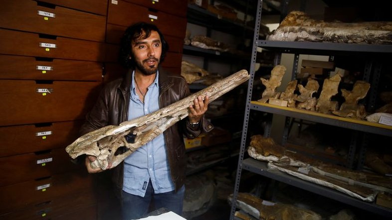 Fóssil pré-histórico no Peru lança luz sobre origem marítima dos crocodilos