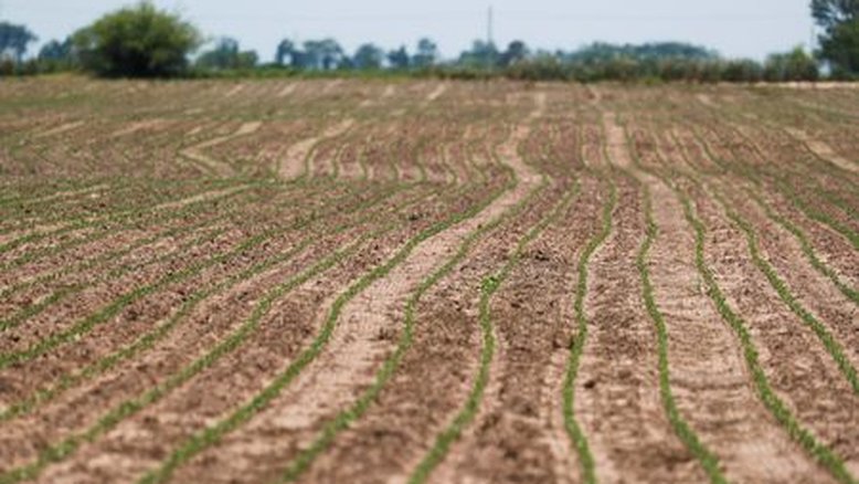 Pólo agrícola boliviano enfrenta impasse político sobre grãos e gado