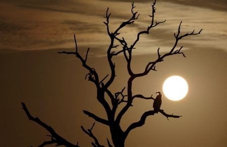 tagreuters.com2023binary_LYNXMPEJ0O0R9-VIEWIMAGE
