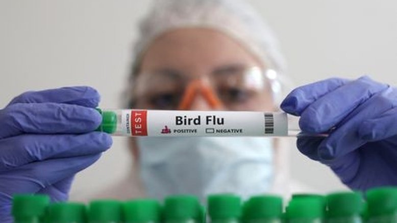 China registra primeira morte humana no mundo por gripe aviária H3N8, diz OMS