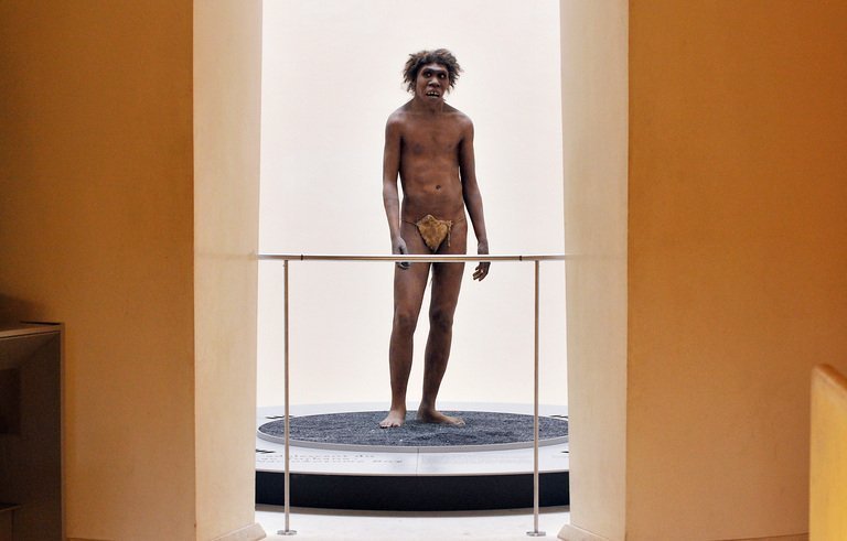 Crânio de 400.000 anos pode esclarecer origem do homem de Neandertal Crânio de 400.000 anos pode esclarecer origem do homem de Neandertal