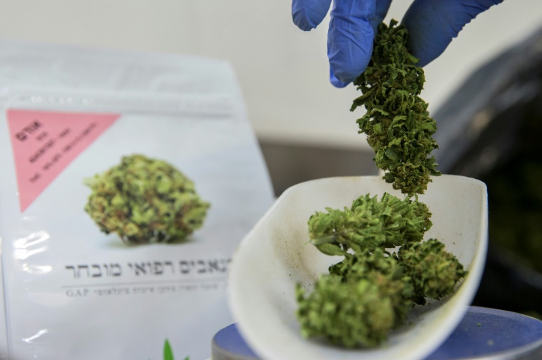 Israel autoriza exportação de cannabis para uso médico
