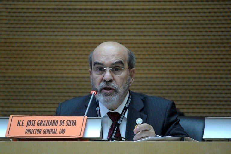 Alimentos insalubres em debate em conferência internacional inédita Alimentos insalubres em debate em conferência internacional inédita