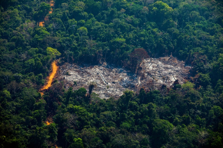 Governo libera crédito extra de R$ 428 mil para combate a incêndios florestais