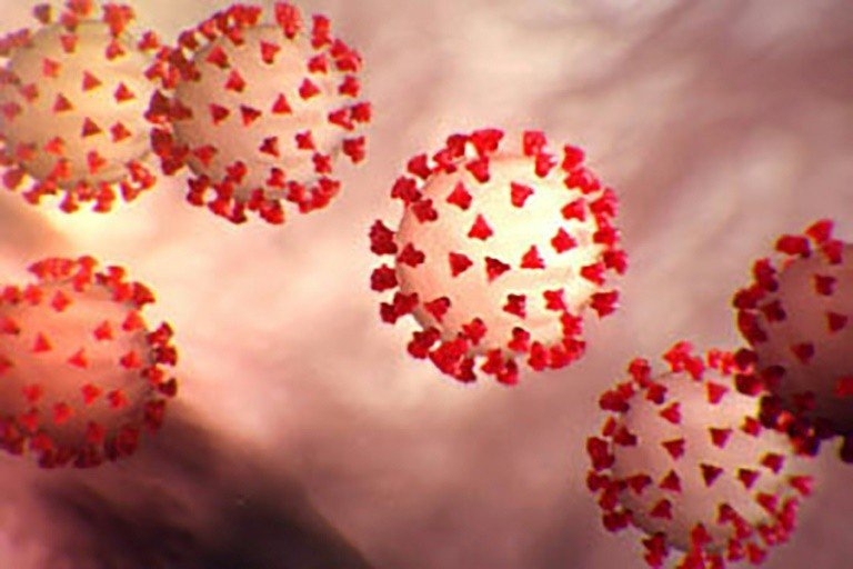 Crédito: Centers for Disease Control and Prevention/AFP Crédito: Centers for Disease Control and Prevention/AFP