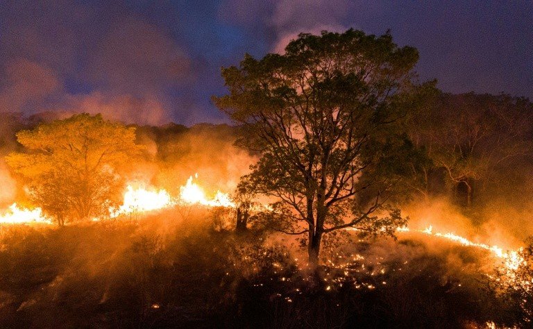 Pantanal bate recorde de focos de incêndio em setembro, diz Inpe Pantanal bate recorde de focos de incêndio em setembro, diz Inpe