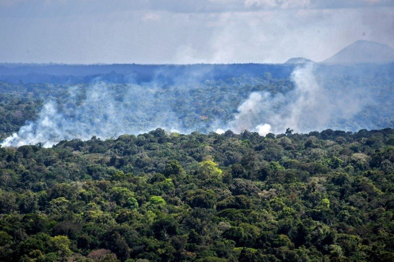 População de Manaus avalia que floresta em pé contribui para economia População de Manaus avalia que floresta em pé contribui para economia
