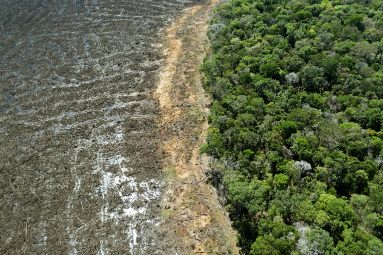 Como o desmatamento da Amazônia afeta a produção energia elétrica