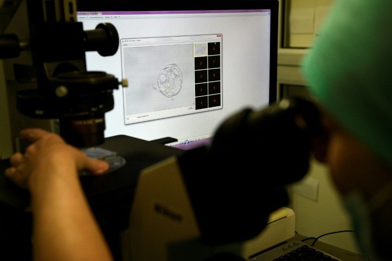Cientistas defendem a permissão de pesquisas com embriões com mais de 14 dias Cientistas defendem a permissão de pesquisas com embriões com mais de 14 dias
