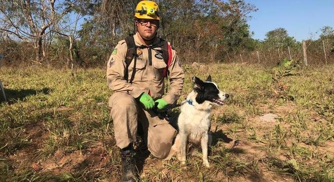 Crédito: Divulgação/Corpo de Bombeiros de Goiás Crédito: Divulgação/Corpo de Bombeiros de Goiás