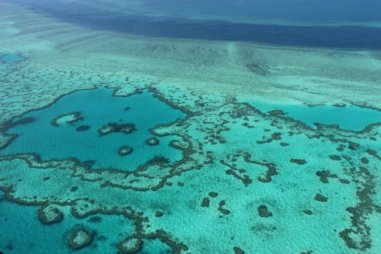 Austrália se oporá a listar a Grande Barreira de Corais como patrimônio em perigo Austrália se oporá a listar a Grande Barreira de Corais como patrimônio em perigo