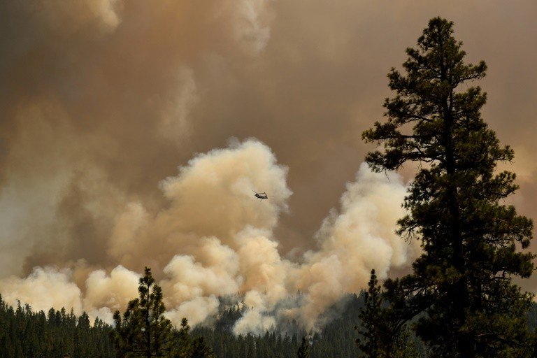 Incêndios florestais no hemisfério norte provocaram recorde de emissões de CO2 Incêndios florestais no hemisfério norte provocaram recorde de emissões de CO2