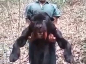 Homem é preso após caçar e matar onça ameaçada de extinção