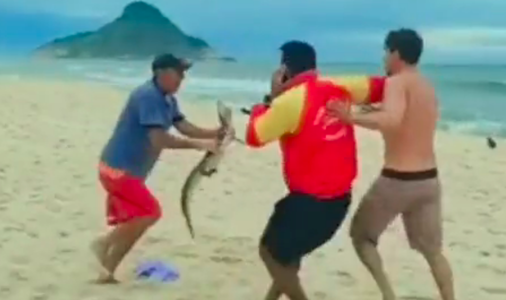 Vídeo: Homem usa jacaré como ‘arma’ e ameaça pessoas durante briga em praia do RJ Vídeo: Homem usa jacaré como ‘arma’ e ameaça pessoas durante briga em praia do RJ