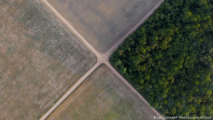 Desconfiança sobre política ambiental do Brasil persiste após COP26 Desconfiança sobre política ambiental do Brasil persiste após COP26